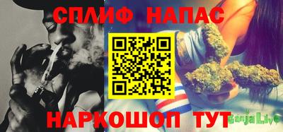эйфоретик Камышлов