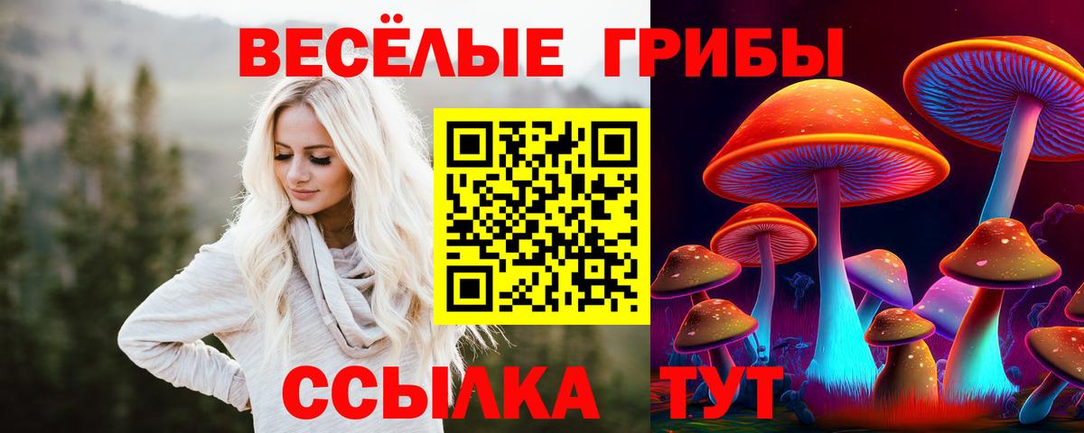 Галлюциногенные грибы Psilocybine cubensis Красноярск