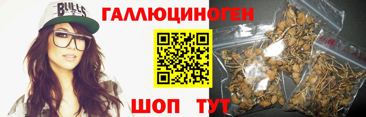 Красноярск  Галлюциногенные грибы Magic Shrooms  Вход с VPN  Галлюциногенные грибы Psilocybine cubensis 